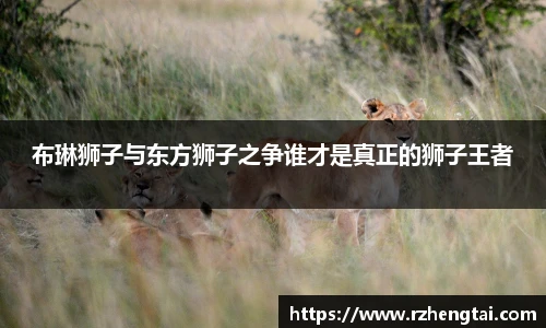 布琳狮子与东方狮子之争谁才是真正的狮子王者